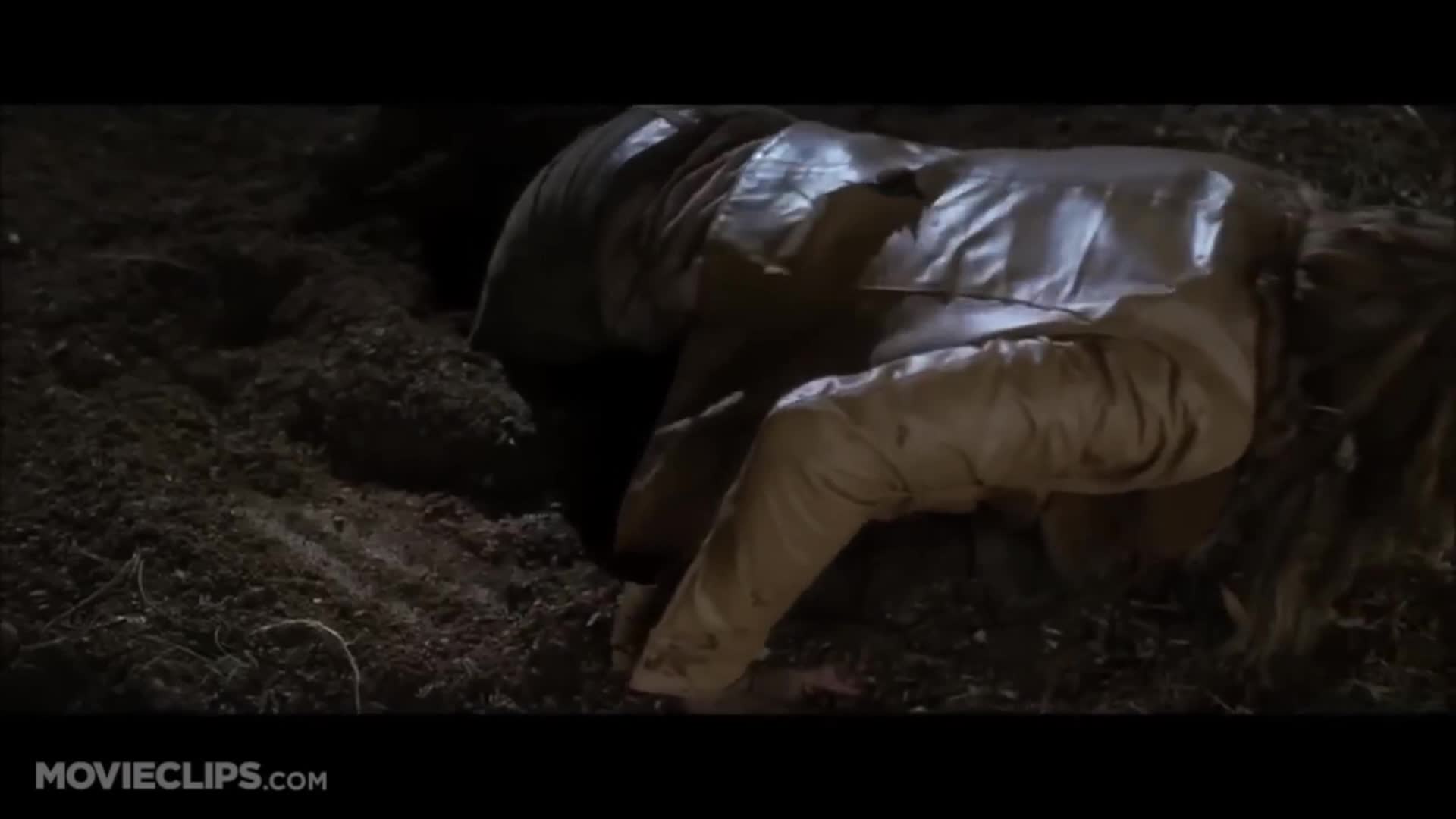 Thumbnail image for Free Access TV News