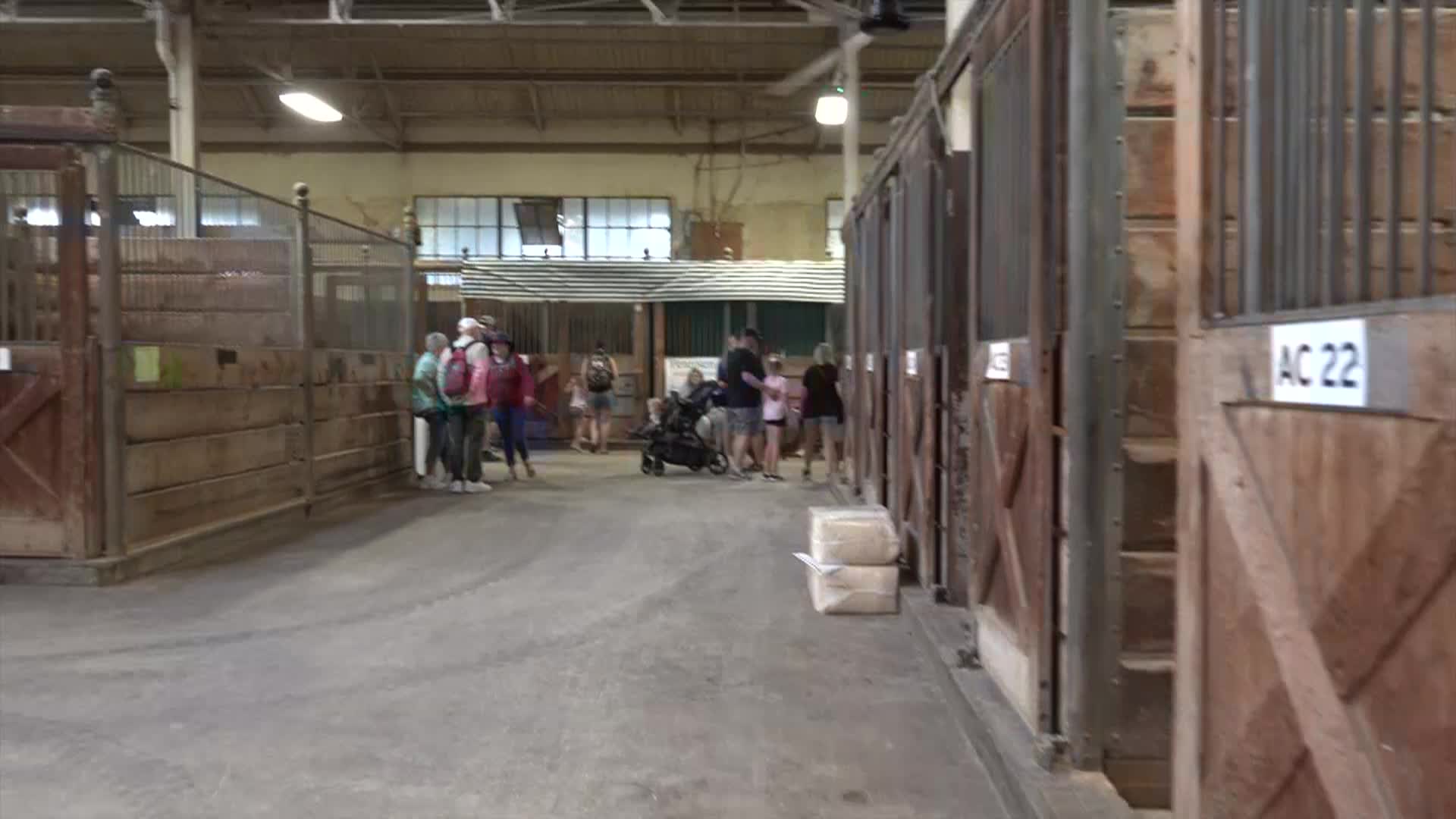 Thumbnail image for Merry's Eclectic Interests - 2024 MN State Fair Barns and Parade