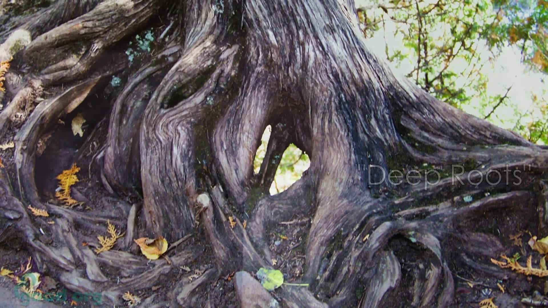 Thumbnail image for Good Samaritan UMC Worship