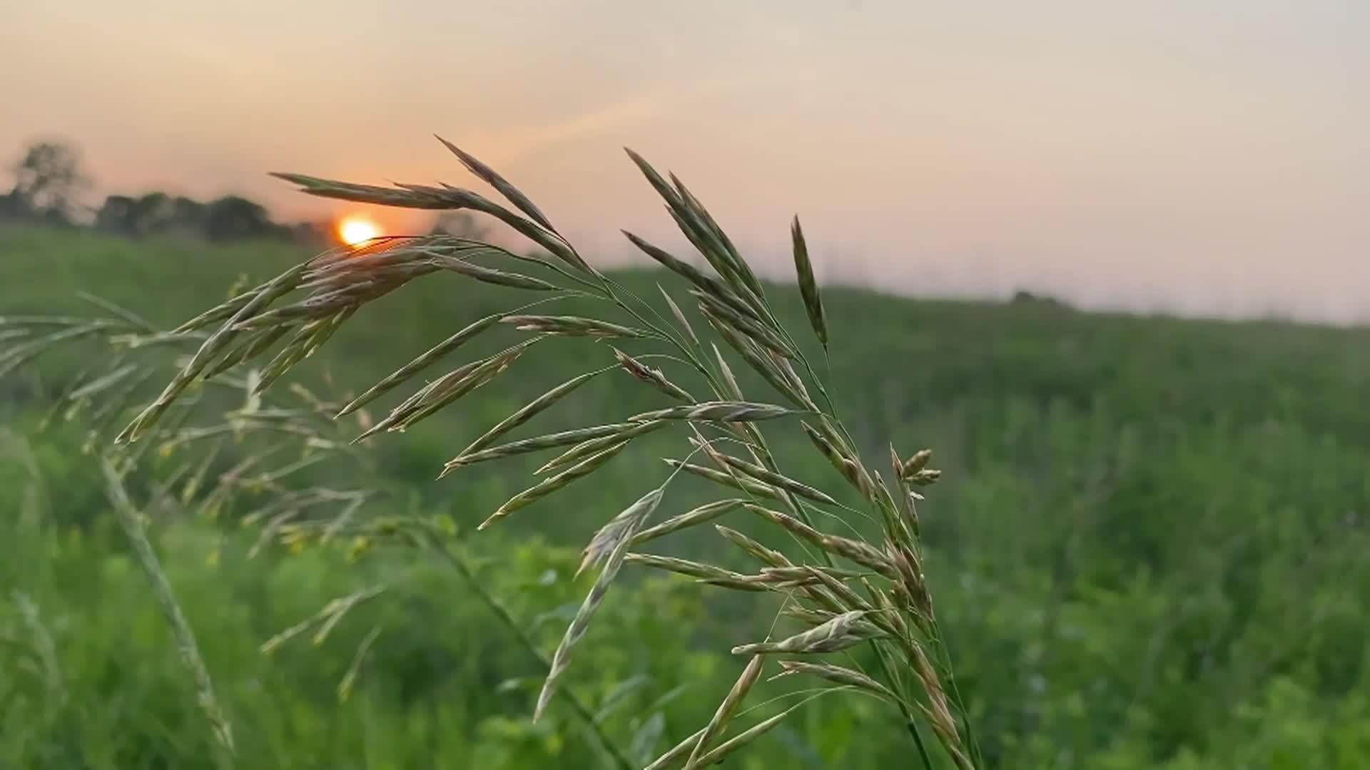 Thumbnail image for Good Samaritan UMC Worship